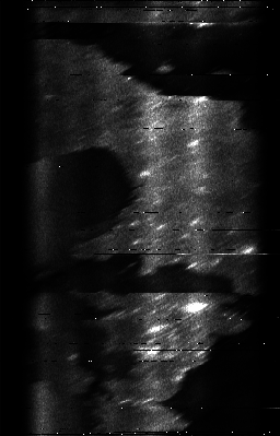 ascat_grayscale_ch5.png